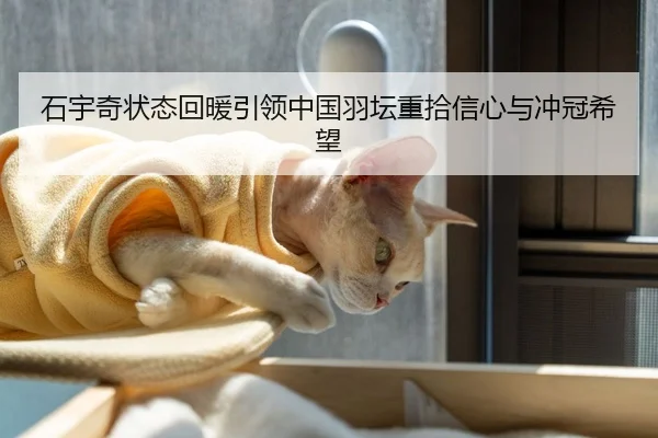 石宇奇状态回暖引领中国羽坛重拾信心与冲冠希望