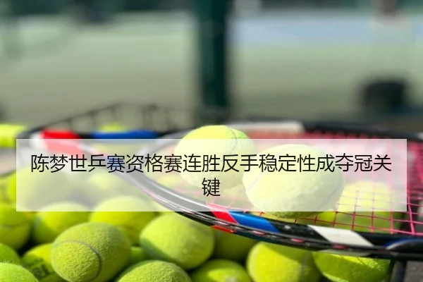 陈梦世乒赛资格赛连胜反手稳定性成夺冠关键