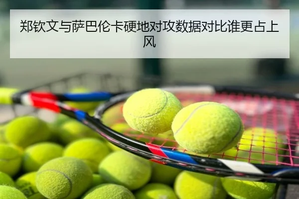 郑钦文与萨巴伦卡硬地对攻数据对比谁更占上风