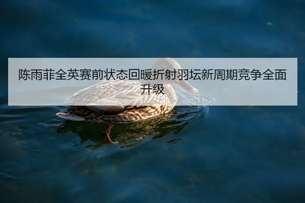 陈雨菲全英赛前状态回暖折射羽坛新周期竞争全面升级
